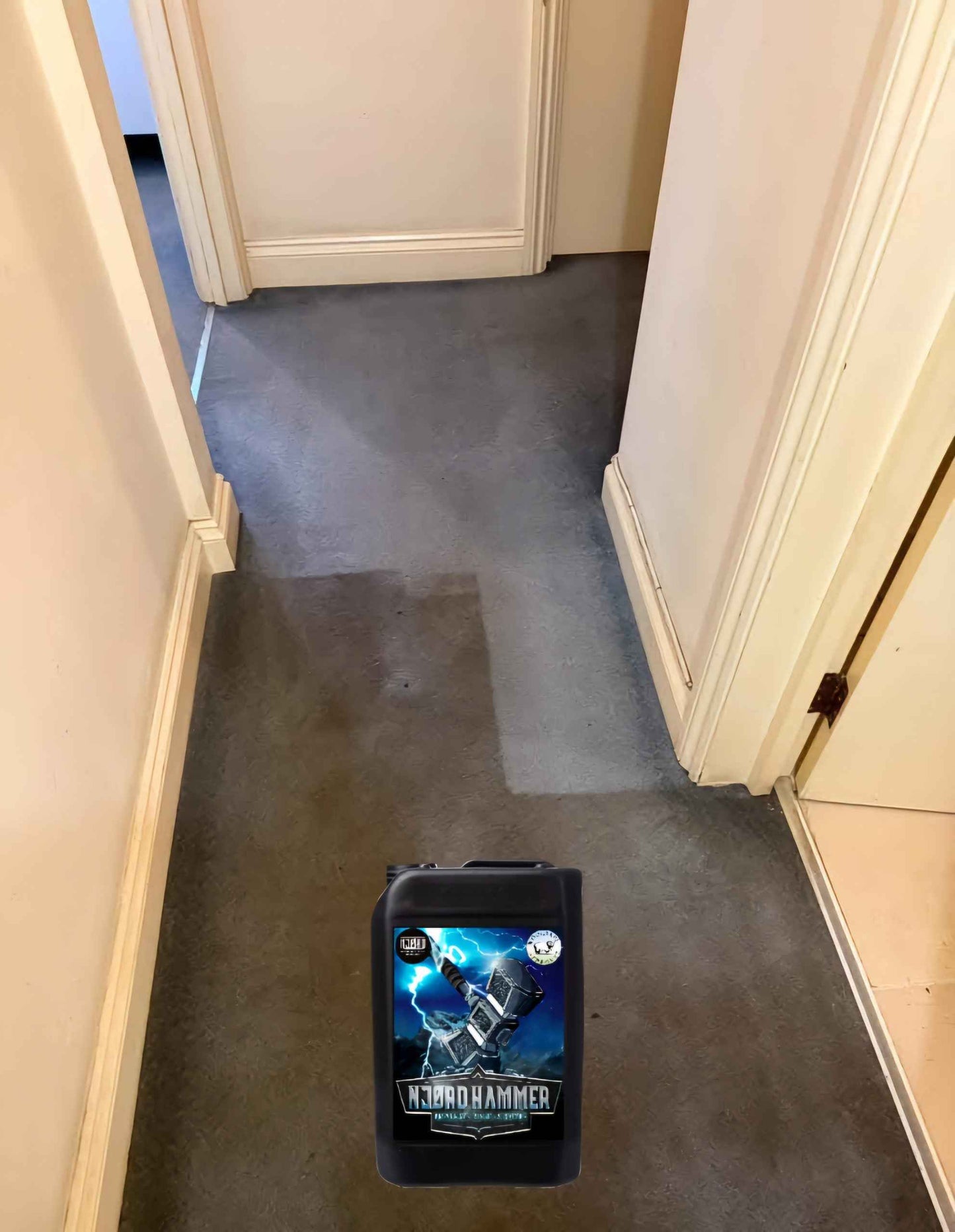 Pre-Spray, Spotter, and Rinse For Carpets And Upholstery