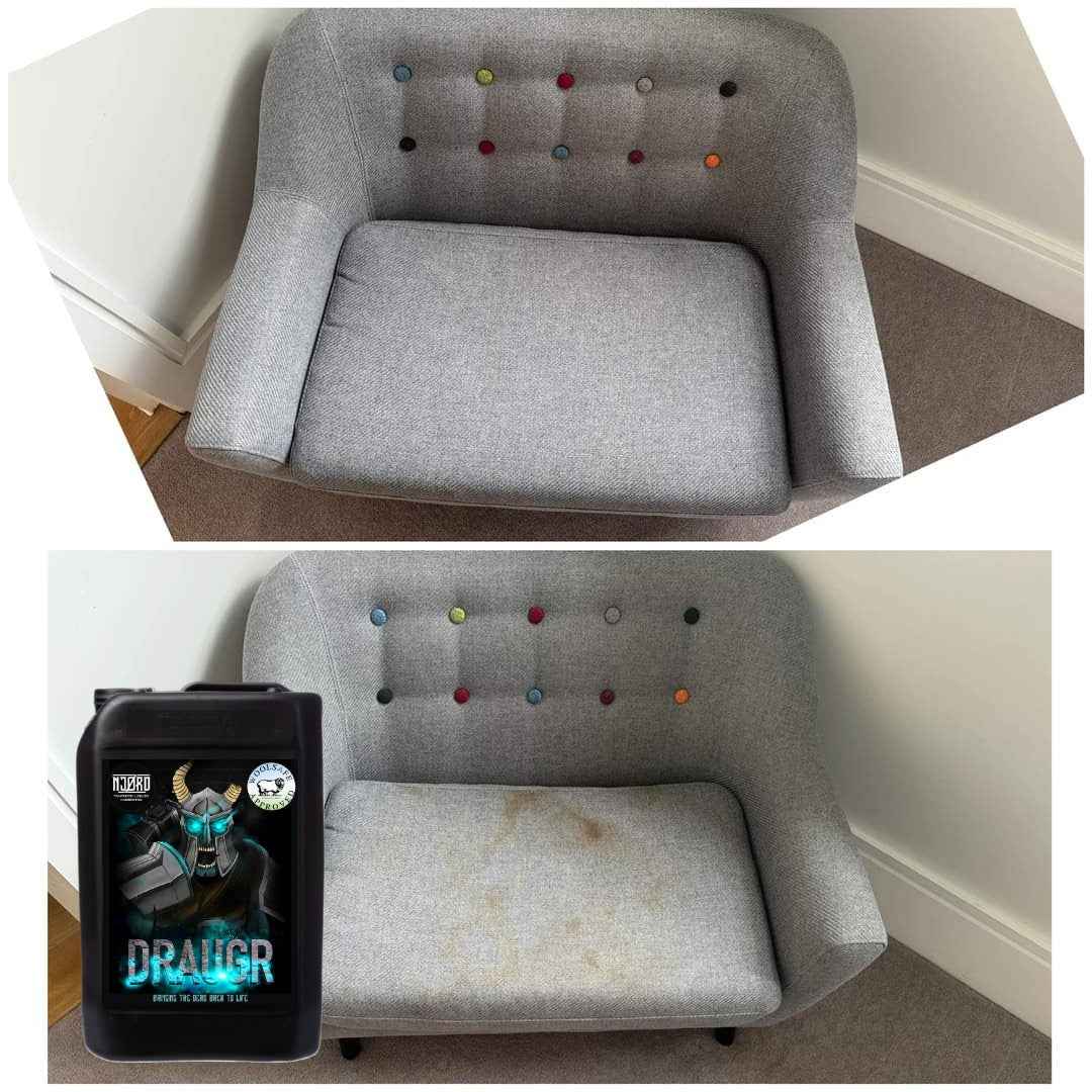 WoolSafe Pre-Spray, Spotter And Rinse For Carpet And Upholstery Cleaning